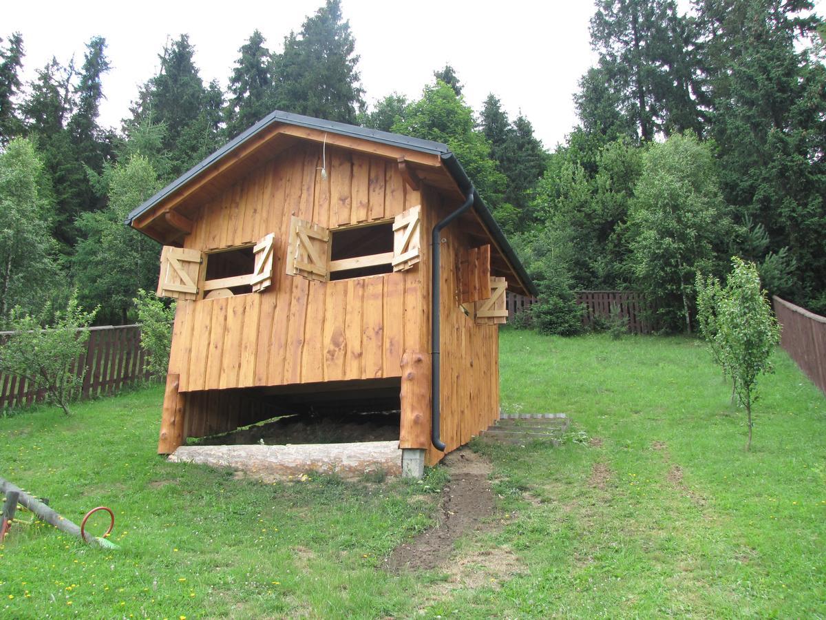 Hotel Pensjonat I Restauracja Nowak Łapsze Niżne Exterior foto